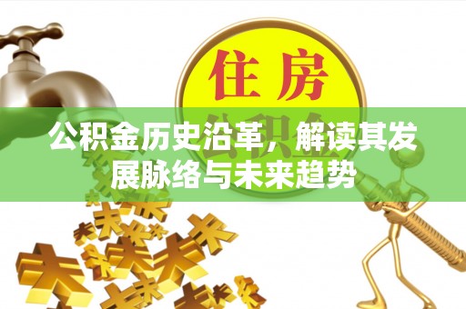 德格公积金历史沿革，解读其发展脉络与未来趋势
