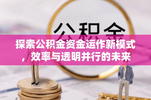 德格探索公积金资金运作新模式，效率与透明并行的未来