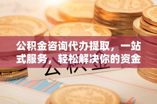 德格公积金咨询代办提取，一站式服务，轻松解决你的资金难题