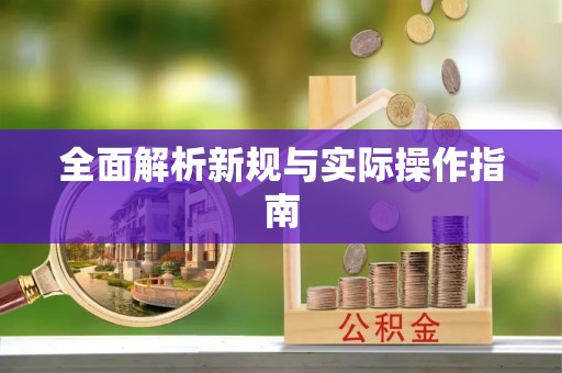 德格全面解析新规与实际操作指南