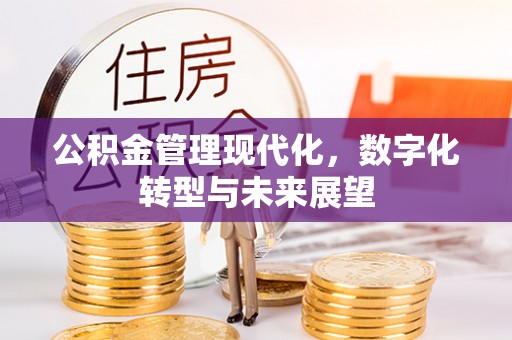 德格公积金管理现代化，数字化转型与未来展望