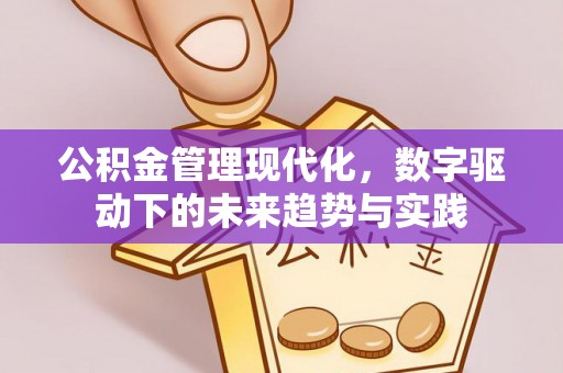 德格公积金管理现代化，数字驱动下的未来趋势与实践