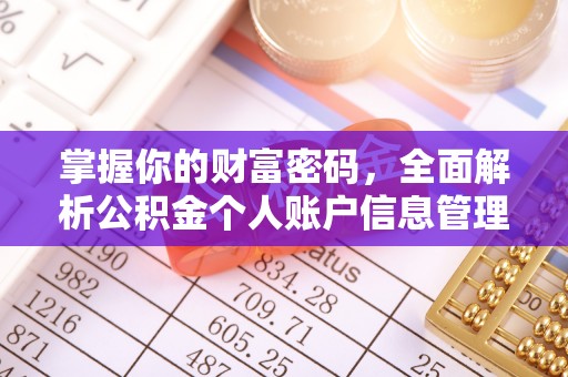 德格掌握你的财富密码，全面解析公积金个人账户信息管理与优化