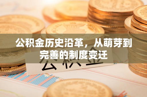 德格公积金历史沿革，从萌芽到完善的制度变迁