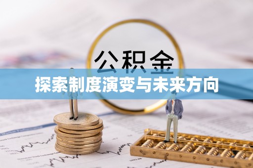 德格探索制度演变与未来方向