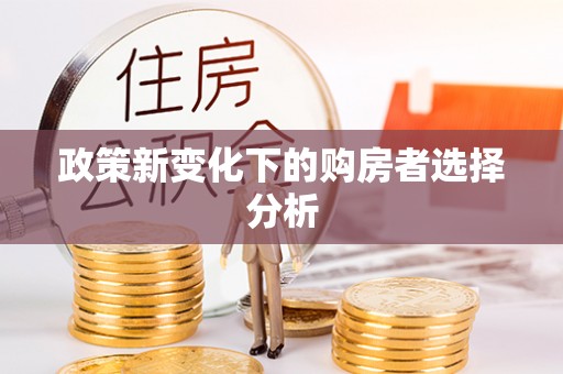 德格政策新变化下的购房者选择分析