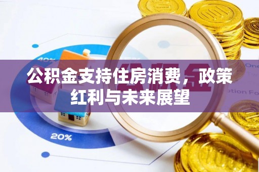 德格公积金支持住房消费，政策红利与未来展望