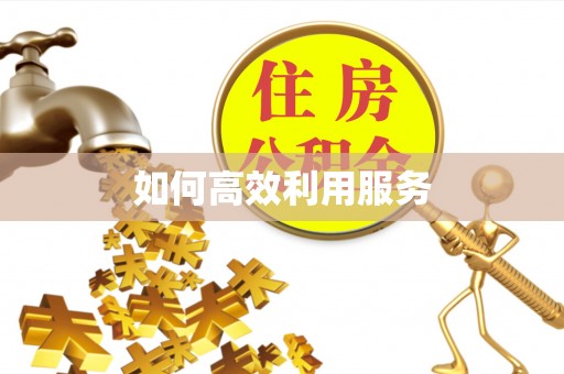 德格如何高效利用服务