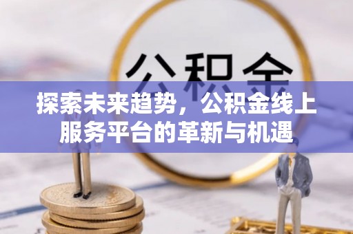 德格探索未来趋势，公积金线上服务平台的革新与机遇