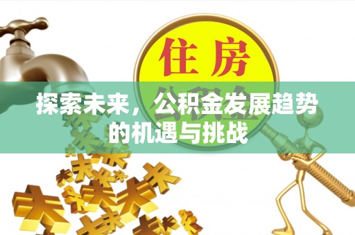 德格探索未来，公积金发展趋势的机遇与挑战