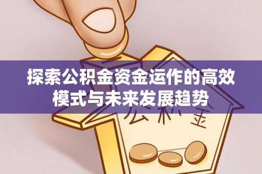 德格探索公积金资金运作的高效模式与未来发展趋势