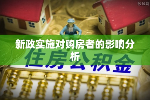 德格新政实施对购房者的影响分析