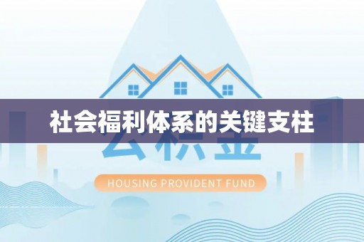 德格社会福利体系的关键支柱