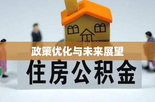 德格政策优化与未来展望