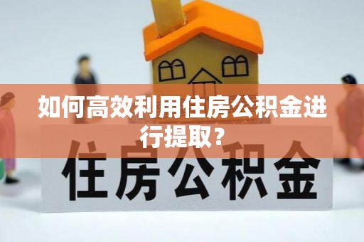 德格如何高效利用住房公积金进行提取？