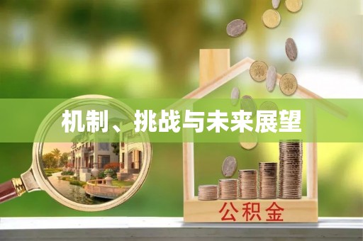 德格机制、挑战与未来展望