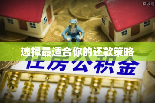德格选择最适合你的还款策略